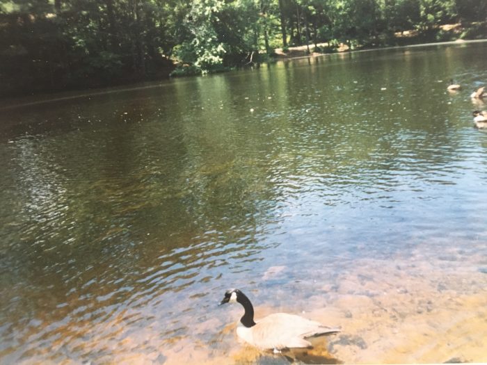 Walden Pond