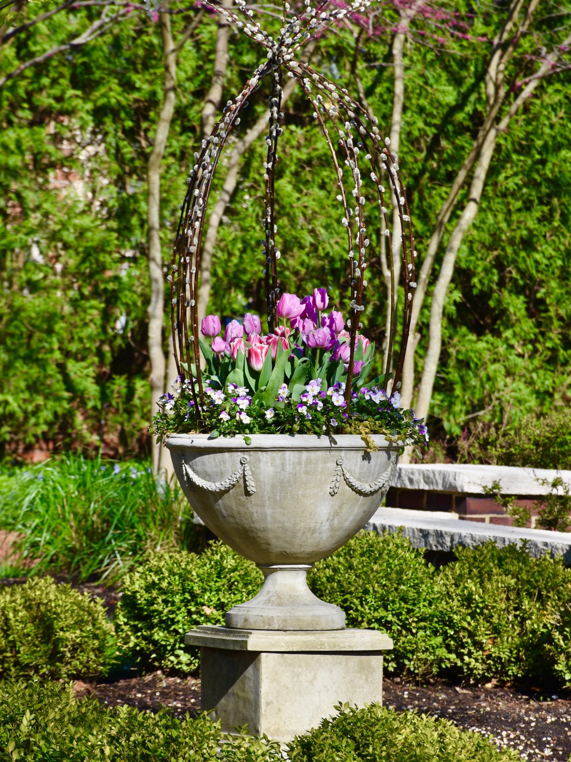 How to Plant Tulips in Pots - FineGardening